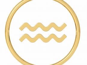 Oroscopo Acquario 2015